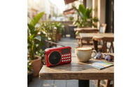 Carry Strap Multi-Band Bluetooth Radio Display Window Home Electronics USB Cable Sound Gadget Battery Powered