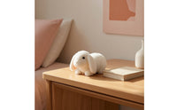 Soft Bunny Adorable Soft Rabbit Bunny Figurine Decorative Rabbit Figurine Mini for Collectors, Desk, Bookshelf