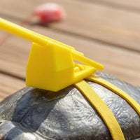 Turtle Leash Harness case-Mounted Turtle Training Tool Hanging Lure Tortoise Harness Leash