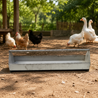 poultry feeder