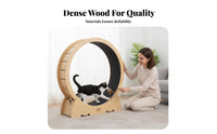 Sturdy Design feline jogning Wheel sturdy Construction feline Exercise Wheel Pawgentle Surface Pet Treadmill Reduces Boredom for Indoors, Living Room, Home