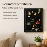 Hanging Plant Frame, Black Tillandsia Holder, Square MDF Plant Frame, Retro Wall Decor for Office & Bedroom
