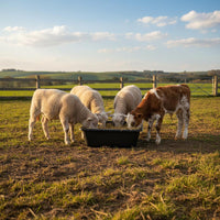 Long-Lasting Plastic Cattle Feed Trough Break-Resistant Heavy Duty Livestock Trough Easy to Clean Plastic Pig Feeder Single-Piece Molding for Farmers, Ranchers, Barn, Stable, Pasture
