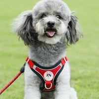Small Dog Harness with Leash and Chest Strap, Solid Polyester Vest with Buckle, Dog Walking Set for Outdoor Walking and Easy Control Training