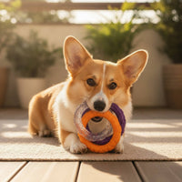Interconnected Rings Toy Interactive Dog Tug Loop Bite-Resistant Tug Loop Toy for Young Dogs, Pet Owners, Indoor Play