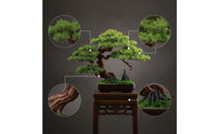 Desktop Artificial Bonsai Tree Zen Fake Bonsai Decor Maintenance-Zero-Maintenance Mini Artificial Tree Realistic for Office Workers, Entryway
