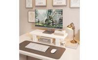 Display Riser Space-Saving Computer Display Stand Ergonomic Screen Stand with Storage