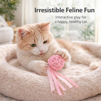 Colorful Interactive Cat Toys, Rattan Ball with Ribbons, Cat Toy Balls for Kittens, Playing Chewing Toy Cat, Cat Owner Gift, Cat Lover Present