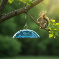 Bird Feeder Rain Cover Rainproof Bird Feeder Cover Clear for Gardeners, Garden, Backyard, Balcony