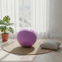 Frosted Fitness Ball with Inflation Needle Portable Fitness Ball Easy to Inflate Stable for Home Workouts