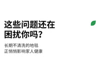 可拆洗地毯客厅2025新款意式轻奢高级感沙发可机洗可水洗卧室地垫