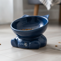 Ceramic Tilted Pet Bowl for Cats and Small Dogs, Anti-Tip Design, Food and Water Dish for Kittens and Puppies