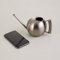 Long Spout Indoor Watering Can, Small Metal Watering Can 1000ml, Stainless Steel Spherical Design for Houseplants
