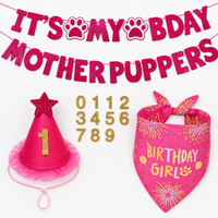 Dog Birthday Costume Banner, Cone Hat, Triangle Bandana Set, Pet's Special Day Celebration