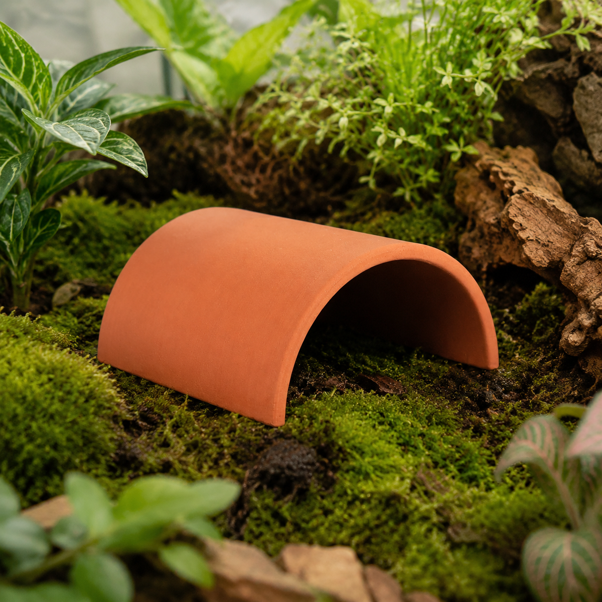 Leopard Gecko Shelter, Reptile Hideout, Wet Shelter, Terracotta, Set of 2