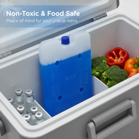 Ultra-Low Temperature -42°C Ice Pack for Medical Cold Chain Transport
