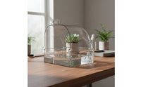 Easy to Clean Transparent Amphibian Soaking Container Thickened PC Material Anti Escape Lizard Tub Safe and Non