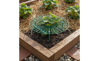 Prevents Decay Strawberry Growing Rack Promotes Air Circulation Strawberry Support Frame Easy to Install Fruit Plant Holder Reusable for Garden