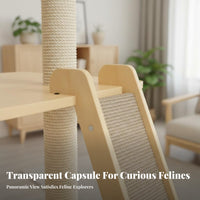 Space-Saving Floor-to-Ceiling feline Pole Sisal nailing Posts Floor-to-Ceiling feline Condo Multimulti-tier multi-tiers Climbing framework snug Perches for Apartment Dwellers, Small areas, Indoors, Living Room