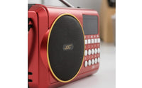 Carry Strap Multi-Band Bluetooth Radio Display Window Home Electronics USB Cable Sound Gadget Battery Powered
