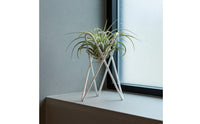 Air Plant Stand Air Plant Holder Stable Base Tillandsia Display Holder for Office