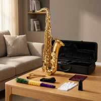 Alto Saxophone Brass Alto Saxophone with Carrying Case Gold Finish Woodwind for Beginners, Students, Music Lessons, Academic Band, Home Practice