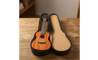 23inch Ukuleles Case with Handle Hard-Sided Ukuleles Case Shielded for Artists, Commuters, Lessons, Rehearsals