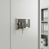 Intelligent Alarm Biometric Document Safe Large Capacity Password Protected Storage Cabinet