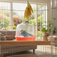 Easy to Clean Transparent Bird Bathing Enclosure Anti-Splash Bird Bath Basin with Cover
