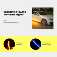 App-controlled RGB car door light