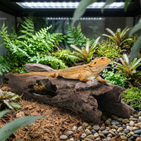 24cm Reptile Hide Aquarium Decoration, Multiple Entry Points Reptile Hide for Snake Accessories for Vivarium, Resin Bark Log for Fish and Breeding