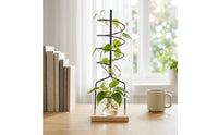 Spiral Plant Support Supports Vining Plants Metal Climbing Plant Support Minimalist Design Desktop Climbing Frame for Tabletop, Office, Windowsill
