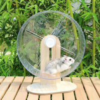Silent Hamster Wheel and Night Guardian Wheel, 24cm Exercise Spinner with Density Board Bracket, Anti-Slip Surface for Dwarf Hamsters