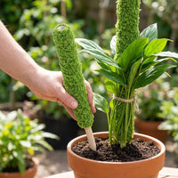 Monstera Plant Support, Wood Plant Support for Vining Plants & Potted Plants, Stackable Plant Pole, Indoor/Outdoor Garden Stakes
