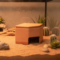 Reptile Ceramic Humidifying Hideaway Cave for Leopard Gecko Snake Spider