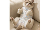 Fitted Female Feline Recovery Suit Blue Post-Surgery Feline Suit Heart Print White Trim