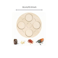Life Cycle Board Child-Centered Life Cycle Activity Board Sensory Play