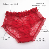 Underwear Women High Waist Lace Design with Gusset Lining, Breathable Mesh Construction for Everyday Comfort, Elastic Waistband