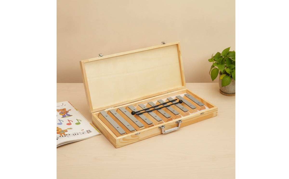 Xylophone with Carry Case Diatonic Xylophone with Case Glockenspiel for Beginners, Classroom