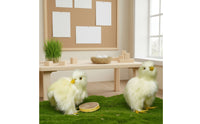 2 Pieces Downy Chick Figurine Soft Toy Chick Realistic Bird Model Models Detailed for Tabletop