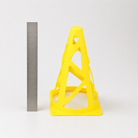 training cone