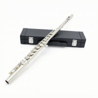 16-Key Flute with E Key Nickel-Plated Closed-Hole C Flute Woodwind Cupronickel Detachable for Beginners, Practice, Lessons