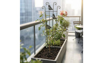 Tapered Frame Butterfly Trellis Curled Top Metal Plant Trellis Tall Decorative Vine Support Lightweight