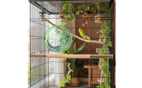 Bird Running Wheel Smooth Rotation Parrot Exercise Wheel Non-Slip Surface Silent Bird Rotator