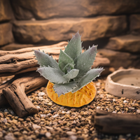 Artificial Succulent Reptile Terrarium Decor Plant