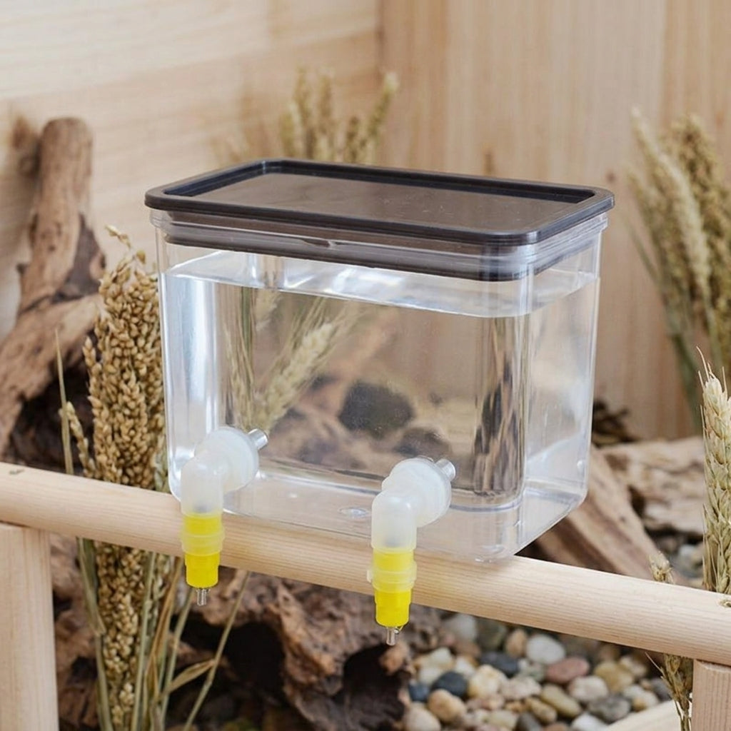 pet feeder and waterer set