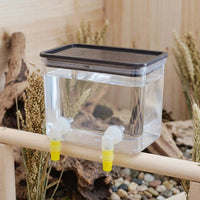 pet feeder and waterer set