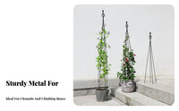 Garden Obelisk Trellis Sturdy and Obelisk Trellis Weather-Resistant Metal Plant Climbing Frame for Outdoor, Patio, Balcony