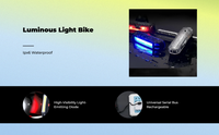 USB rechargeable waterproof tail light