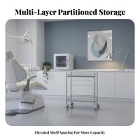 Medical Facility Treatment Trolley Heavy-Duty 2-Tier Medical Trolley Easy to Clean Stainless Steel Instrument Cart for Salon Hospital, Workshop